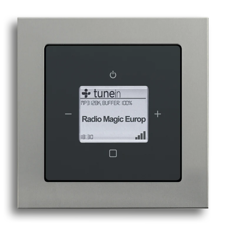 Busch-Radio iNet