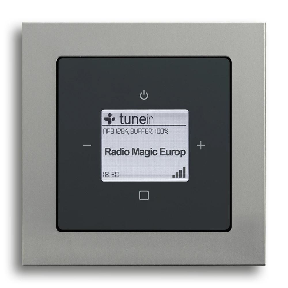 Busch-Radio iNet