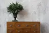 Betonwand mit Holz Sideboard und Pflanze