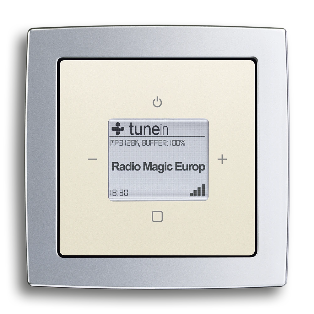 Busch-Radio iNet