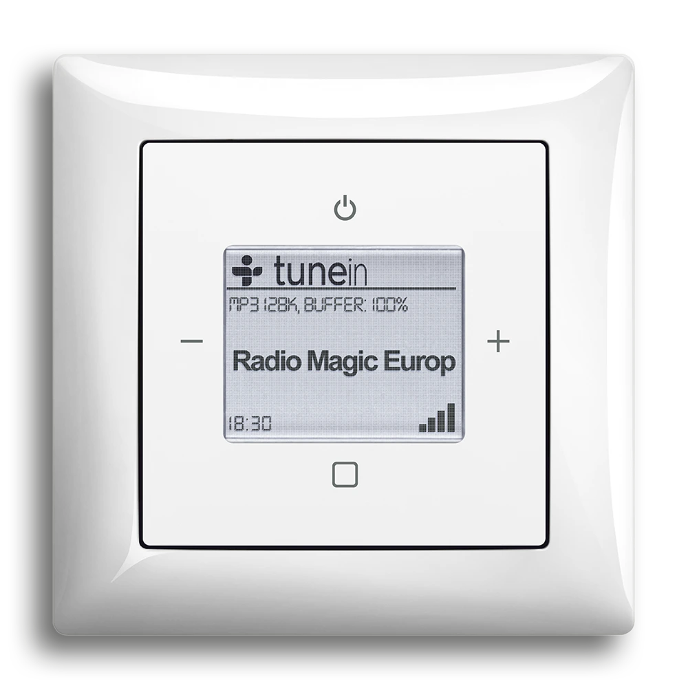 Busch-Radio iNet
