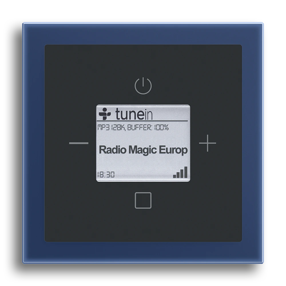 Busch-Radio iNet,Schwarz matt,Busch-art linear®