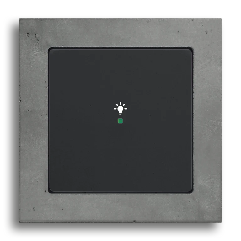 Lighting control element, Busch-flexTronics® wireless