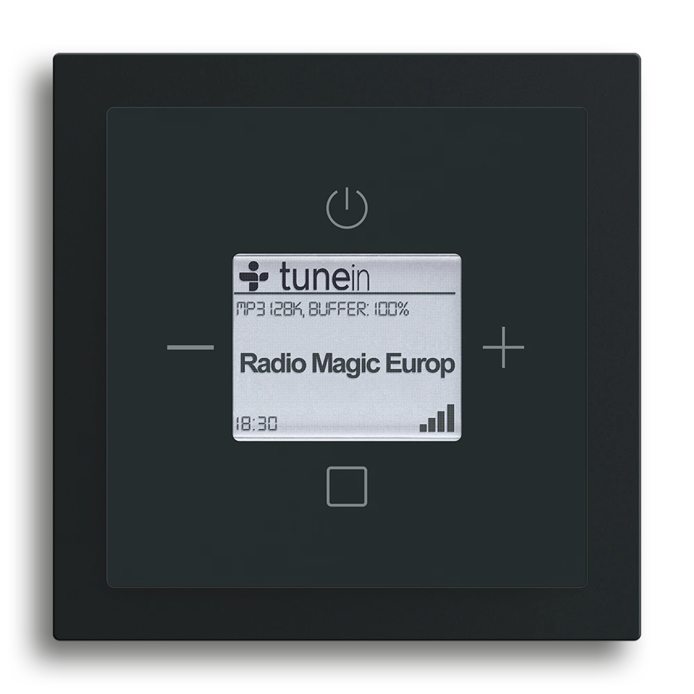Busch-Radio iNet,Schwarz matt,Busch-art linear®