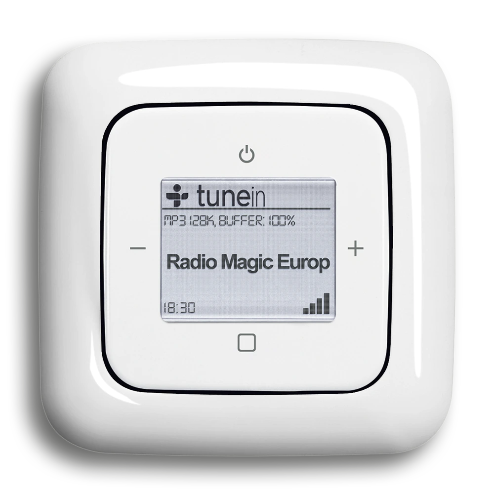 Busch-Radio iNet