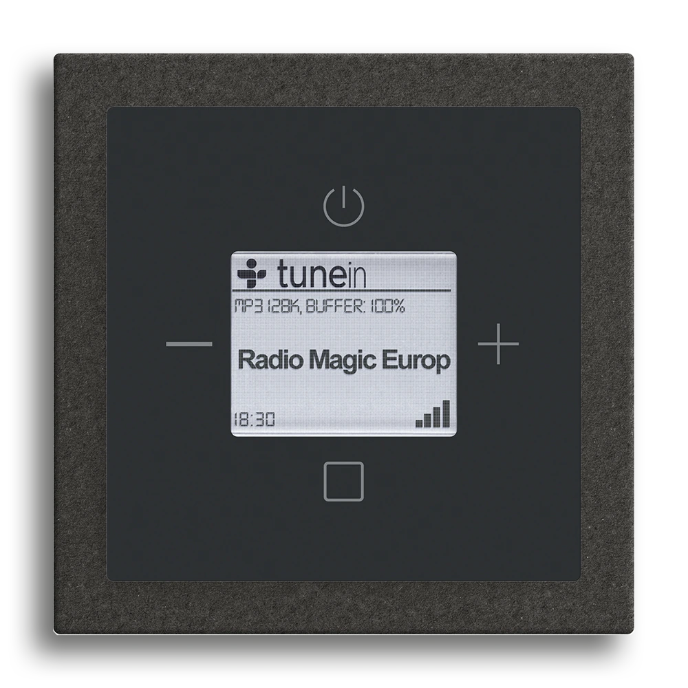 Busch-Radio iNet,Schwarz matt,Busch-art linear®