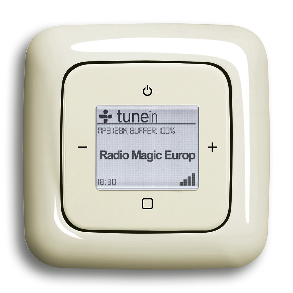 Busch-Radio iNet