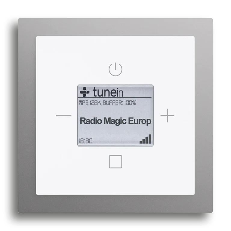 Busch-Radio iNet