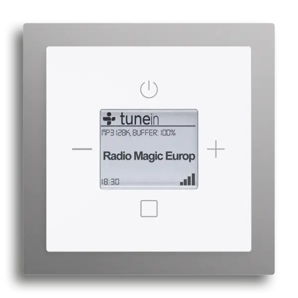 Busch-Radio iNet
