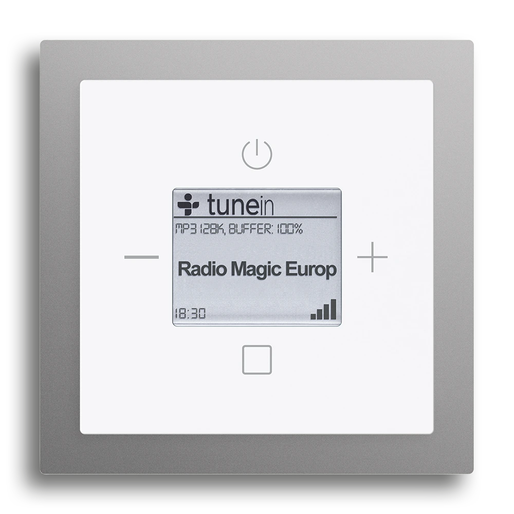 Busch-Radio iNet