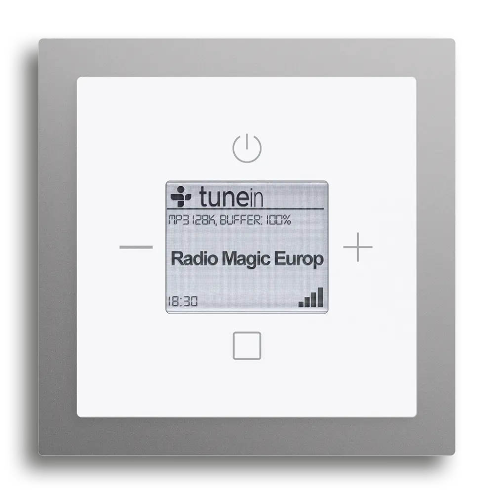 Busch-Radio iNet