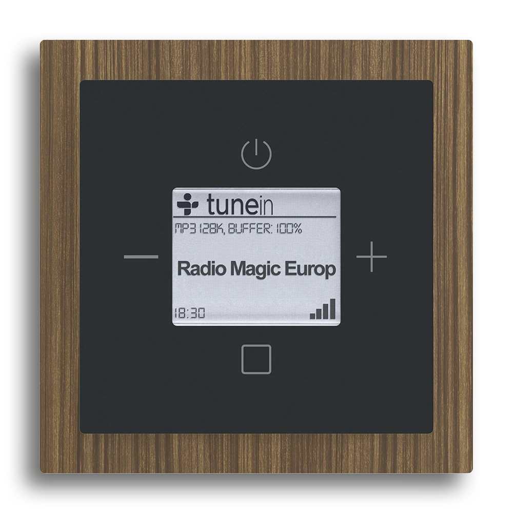 Busch-Radio iNet,Schwarz matt,Busch-art linear®