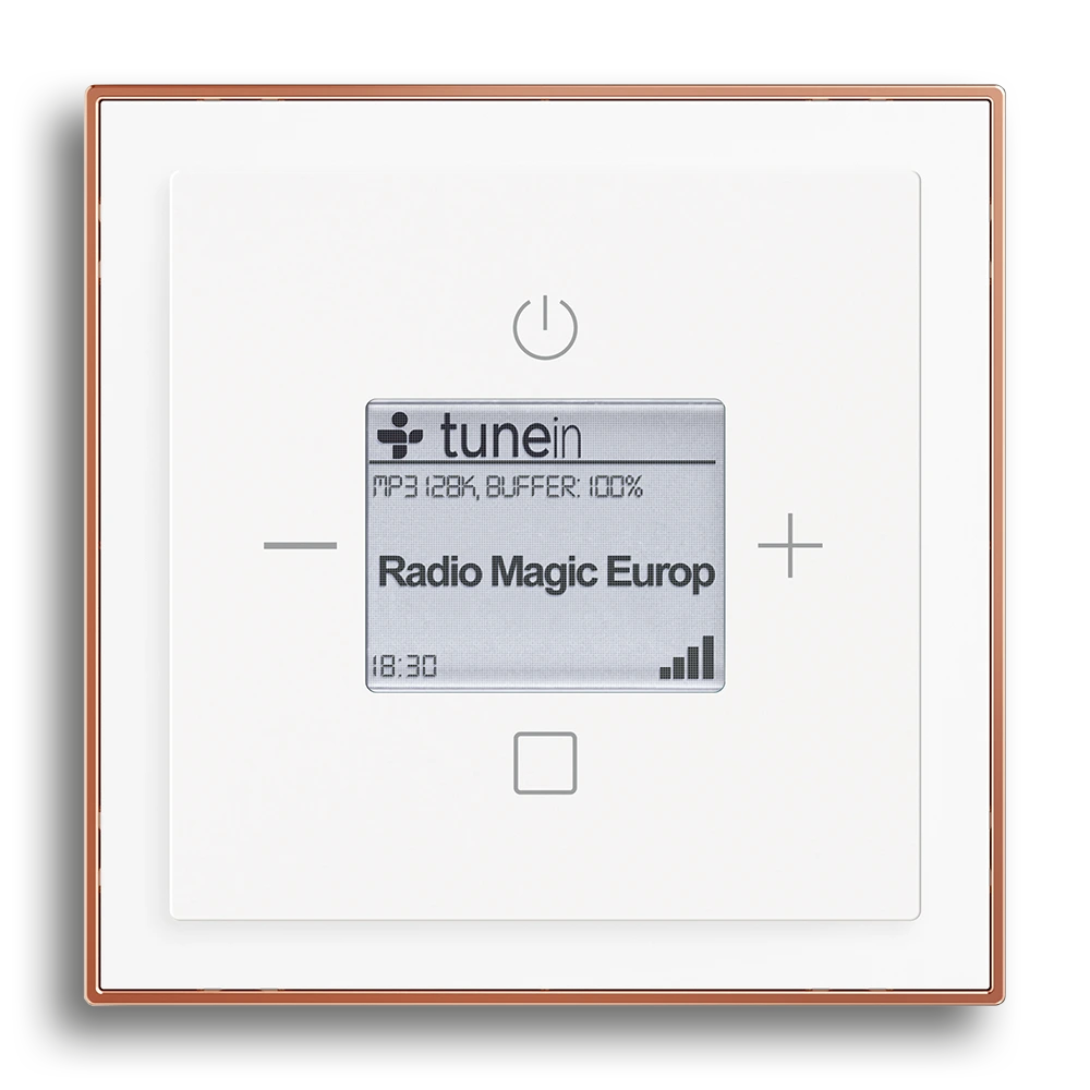 Busch-Radio iNet,Studioweiß,Busch-art linear®