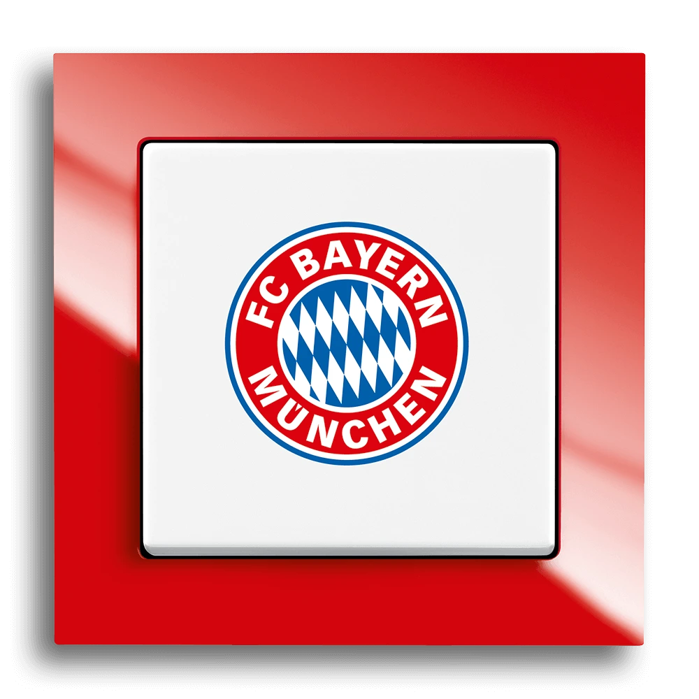 Fan switch