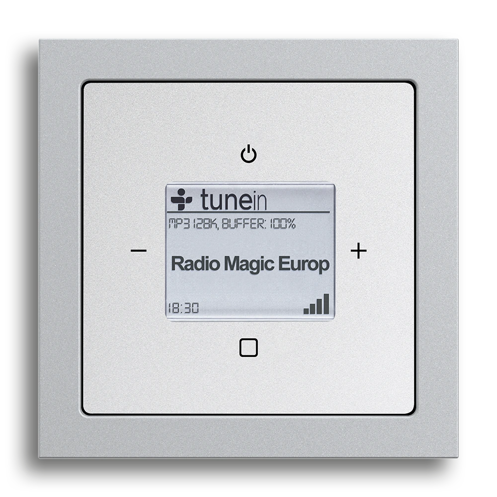 Busch-Radio iNet