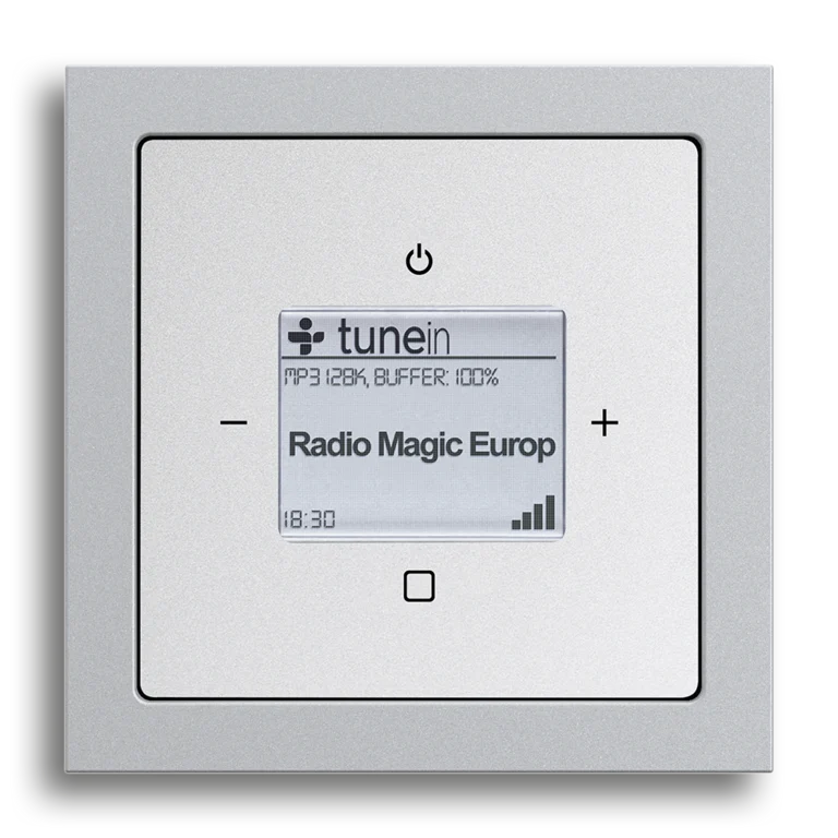 Busch-Radio iNet