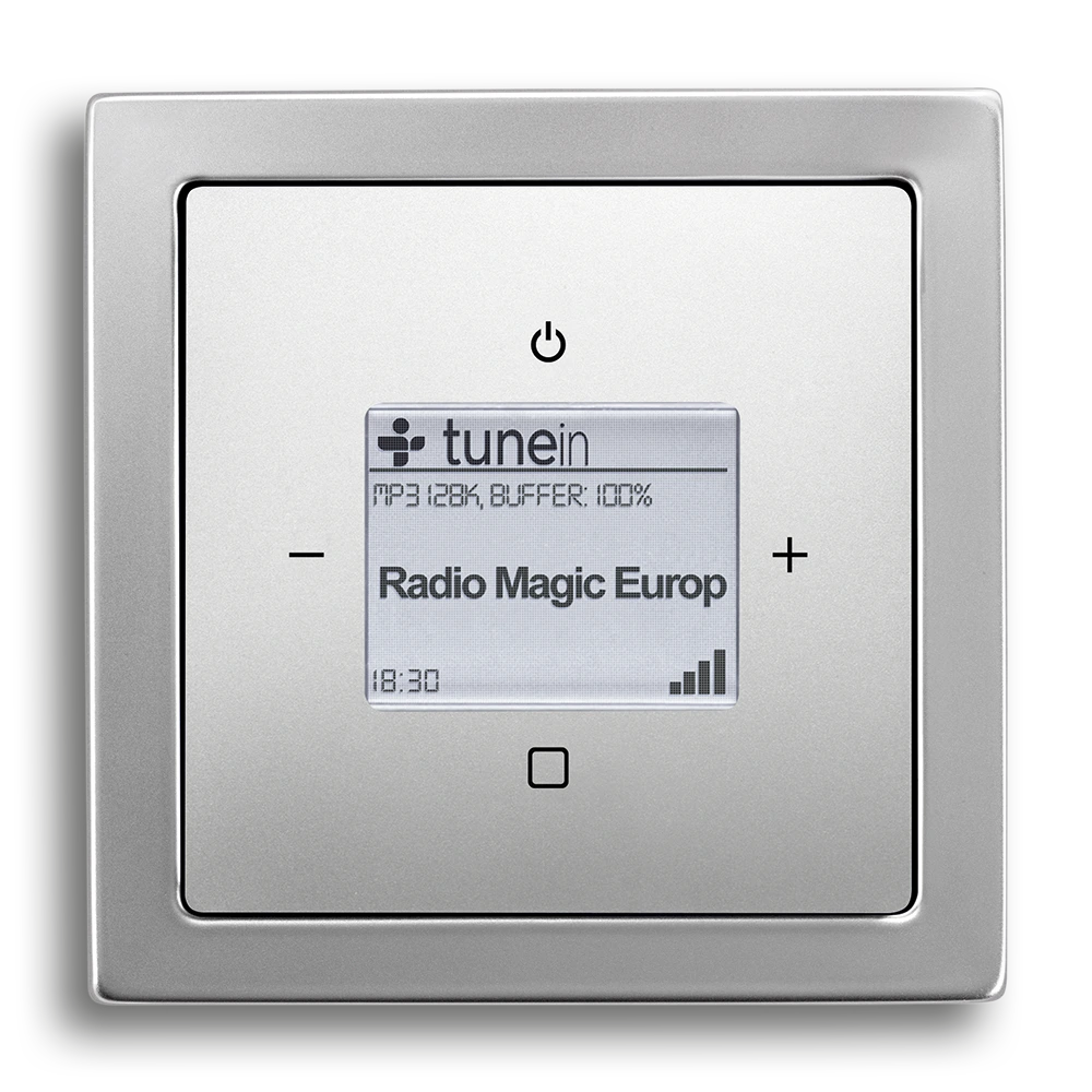 Busch-Radio iNet