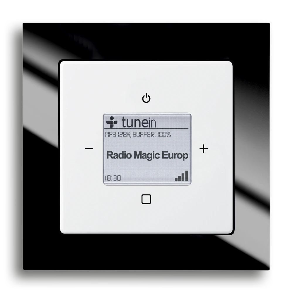 Busch-Radio iNet