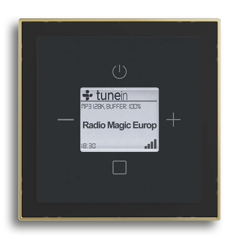 Busch-Radio iNet,Schwarz matt,Busch-art linear®